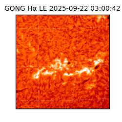 gong - 2025-09-22T03:00:42