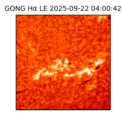 gong - 2025-09-22T04:00:42