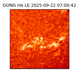 gong - 2025-09-22T07:00:42