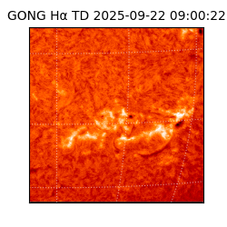 gong - 2025-09-22T09:00:22