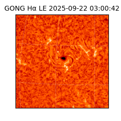 gong - 2025-09-22T03:00:42