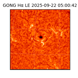 gong - 2025-09-22T05:00:42