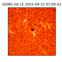 gong - 2025-09-22T07:00:42