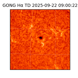 gong - 2025-09-22T09:00:22