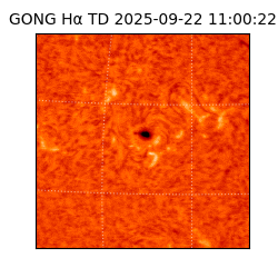 gong - 2025-09-22T11:00:22