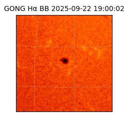 gong - 2025-09-22T19:00:02