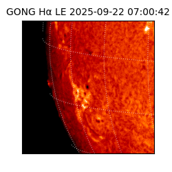 gong - 2025-09-22T07:00:42
