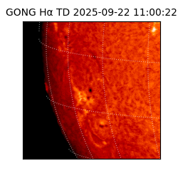 gong - 2025-09-22T11:00:22