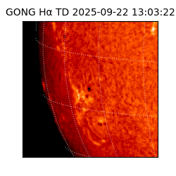 gong - 2025-09-22T13:03:22