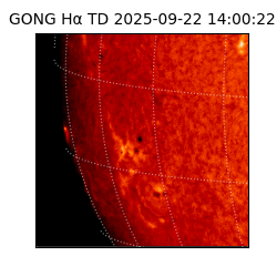 gong - 2025-09-22T14:00:22