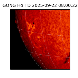 gong - 2025-09-22T08:00:22