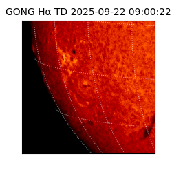 gong - 2025-09-22T09:00:22