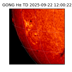gong - 2025-09-22T12:00:22