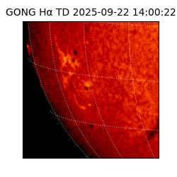 gong - 2025-09-22T14:00:22