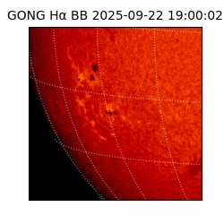 gong - 2025-09-22T19:00:02