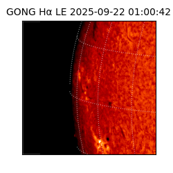 gong - 2025-09-22T01:00:42