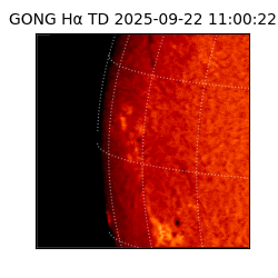 gong - 2025-09-22T11:00:22