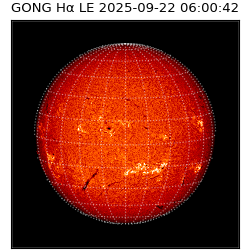 gong - 2025-09-22T06:00:42