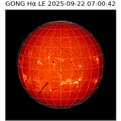 gong - 2025-09-22T07:00:42