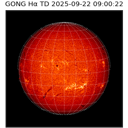 gong - 2025-09-22T09:00:22