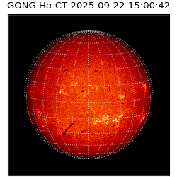 gong - 2025-09-22T15:00:42