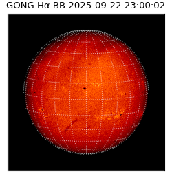 gong - 2025-09-22T23:00:02