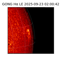 gong - 2025-09-23T02:00:42
