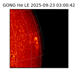 gong - 2025-09-23T03:00:42