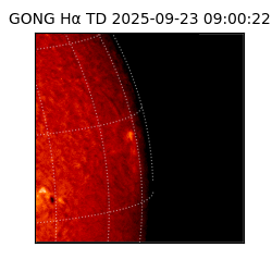 gong - 2025-09-23T09:00:22