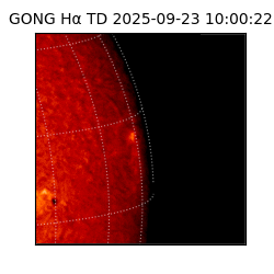 gong - 2025-09-23T10:00:22