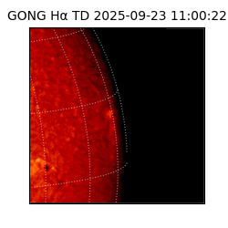 gong - 2025-09-23T11:00:22