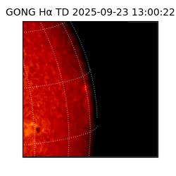 gong - 2025-09-23T13:00:22