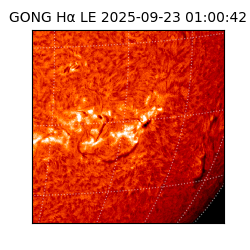 gong - 2025-09-23T01:00:42