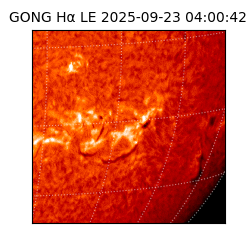 gong - 2025-09-23T04:00:42