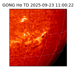 gong - 2025-09-23T11:00:22