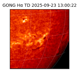 gong - 2025-09-23T13:00:22