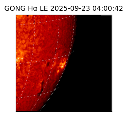 gong - 2025-09-23T04:00:42