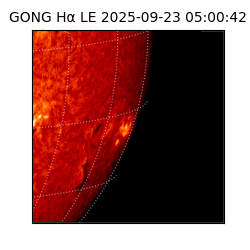 gong - 2025-09-23T05:00:42