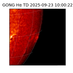 gong - 2025-09-23T10:00:22