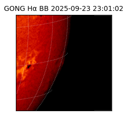 gong - 2025-09-23T23:01:02