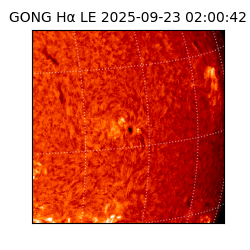 gong - 2025-09-23T02:00:42