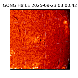 gong - 2025-09-23T03:00:42