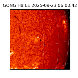 gong - 2025-09-23T06:00:42