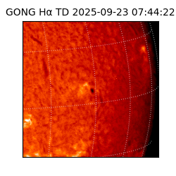 gong - 2025-09-23T07:44:22