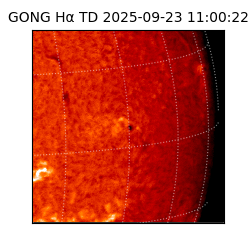 gong - 2025-09-23T11:00:22