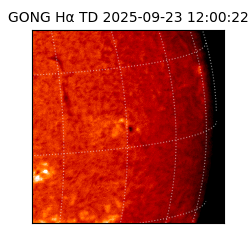 gong - 2025-09-23T12:00:22