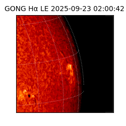 gong - 2025-09-23T02:00:42
