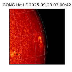gong - 2025-09-23T03:00:42