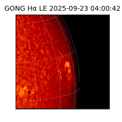 gong - 2025-09-23T04:00:42