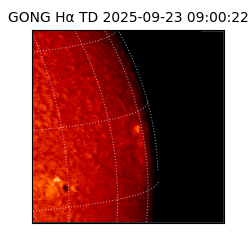 gong - 2025-09-23T09:00:22